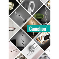 Каталог настенно-потолочных светильников Camelion
